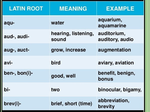 Why exactly are Latin words still in use today? Quora