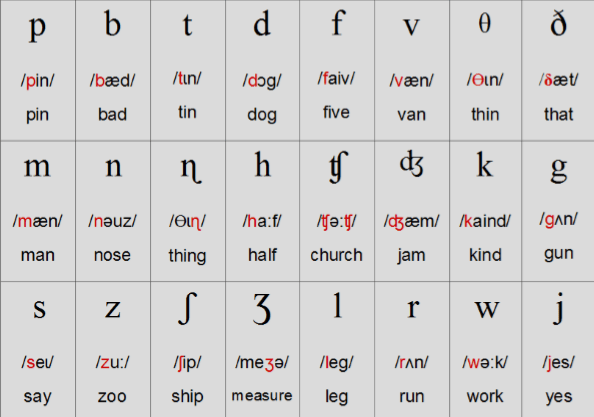How many vowel are there in the alphabet? – TeachersCollegesj