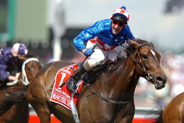 Who were the greatest female race horses ever? Quora
