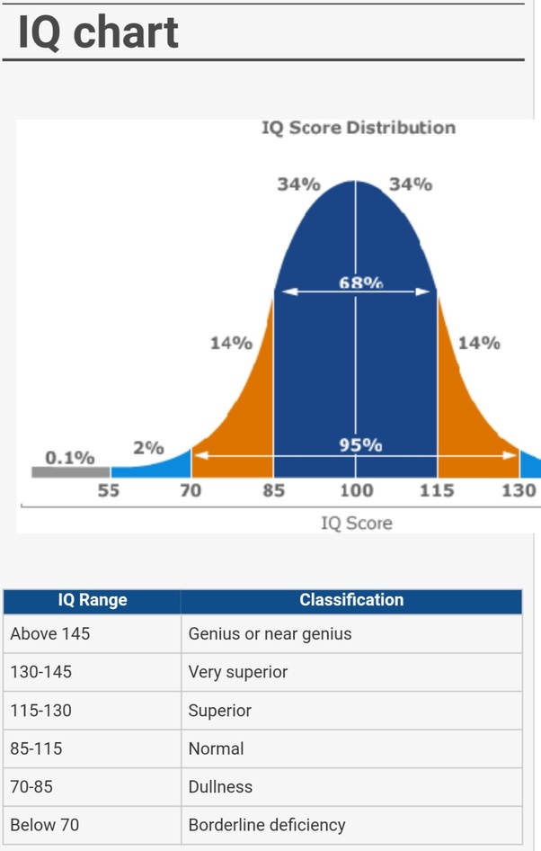 myequestriandesign What Is The Meaning Of Iq