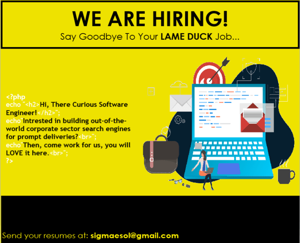 What are the most creative examples of software developer job ads and