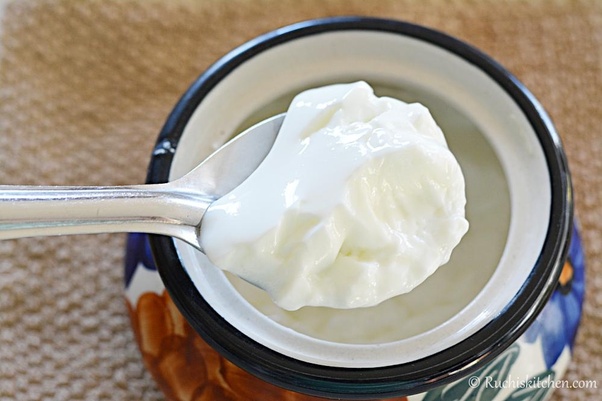 At home, is it possible to make curd from milk and 'sweetened yogurt