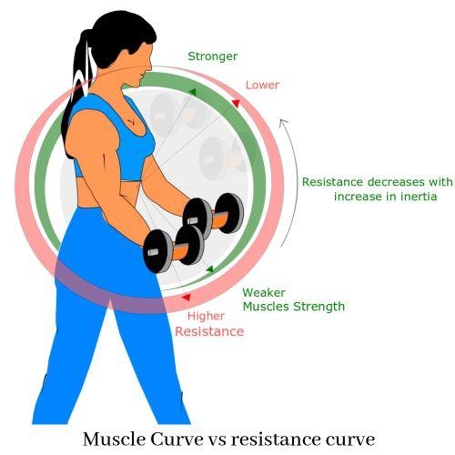 What are the pros and cons of using resistance bands vs. free weights