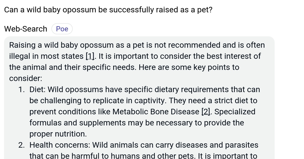 Can a wild baby opossum be successfully raised as a pet? Poe
