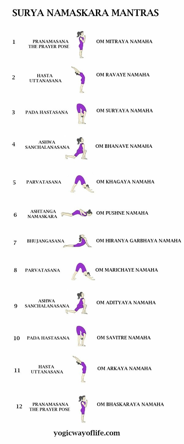 What are the 12 steps of Surya Namaskar? Quora