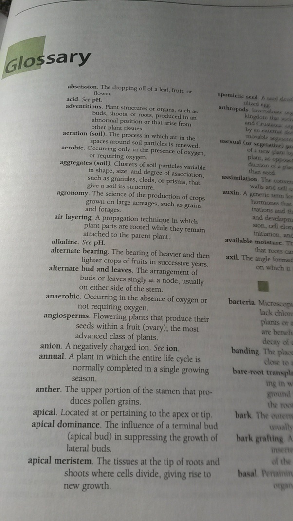 What is the difference between glossary and appendix of a book? Quora