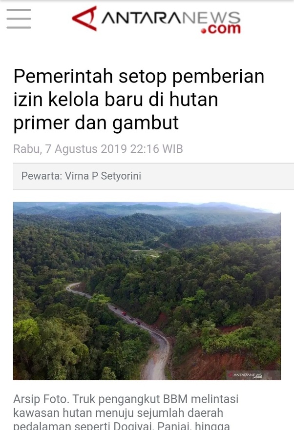 Apa hal yang sebaiknya dilakukan Jokowi dalam menangani kebakaran hutan