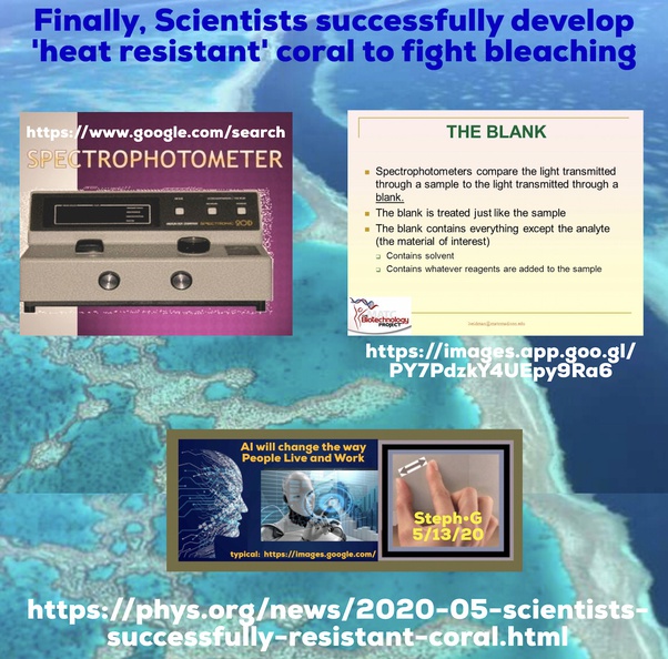 What is the role of the 'blank' when using a spectrophotometer? Quora