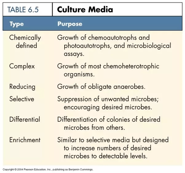 What is culture media in microbiology? Quora