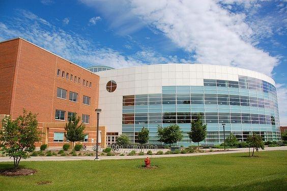 What are the top premed schools in Michigan? Quora
