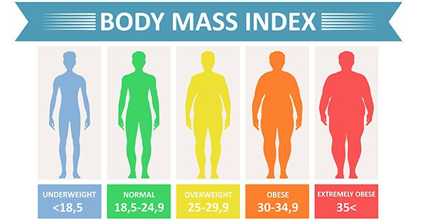 What Does Your Bmi Mean, And What's A Normal Bmi? - Quora