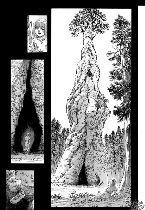 Attack On Titan Ymir Fritz Tree Attack on titan recibió