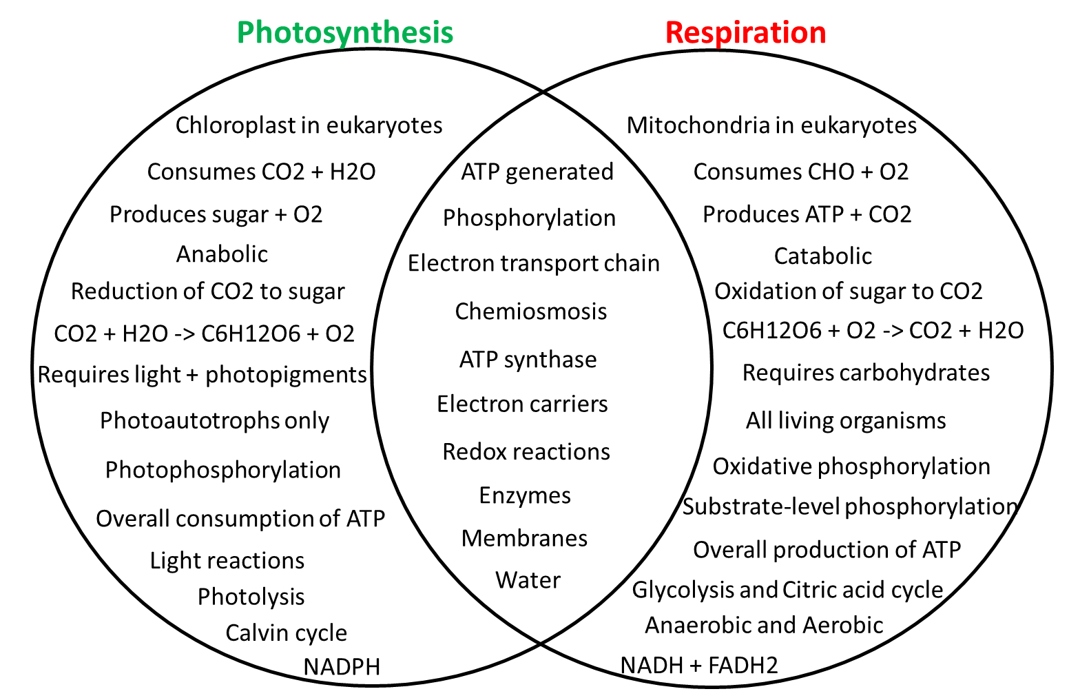 Photosynthesis Vs Cellular Respiration Venn Diagram Wiring Diagram