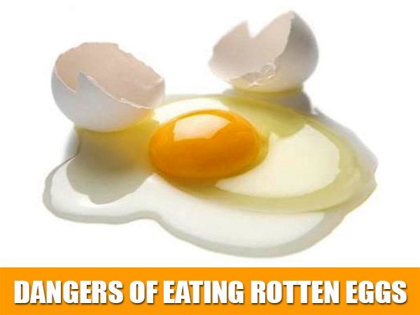 What Could Possibly Happen If You Eat A Bad Egg? - Quora