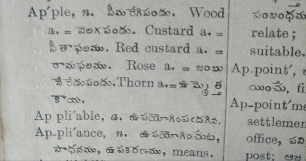 What do we call an “apple” in Telugu? Quora