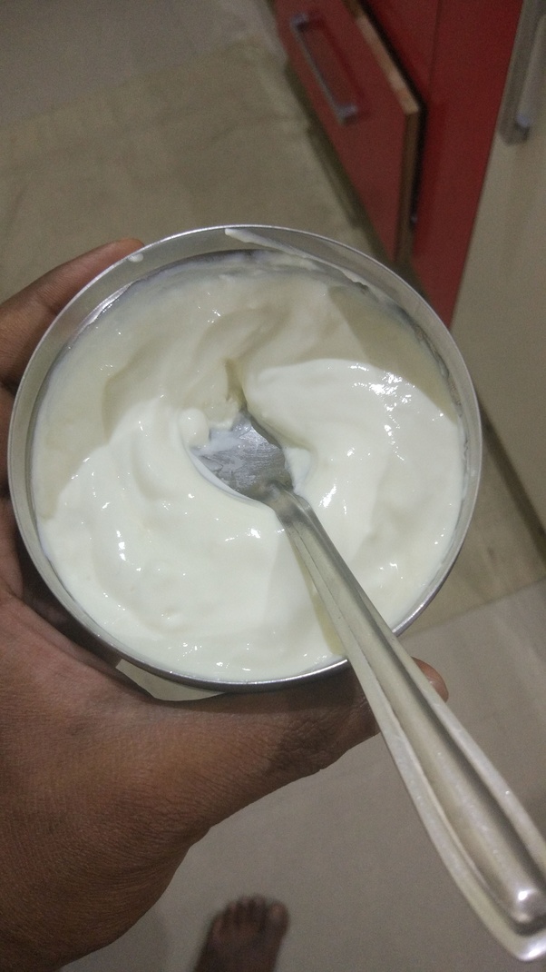 What is the difference between Indian curd and yogurt? Quora