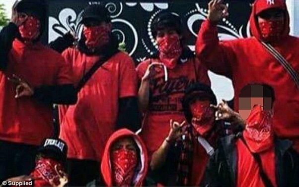 How many gangs are in Chicago? Quora