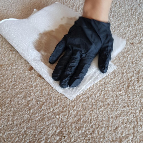 What is the best product to remove cola stains from a carpet? Quora