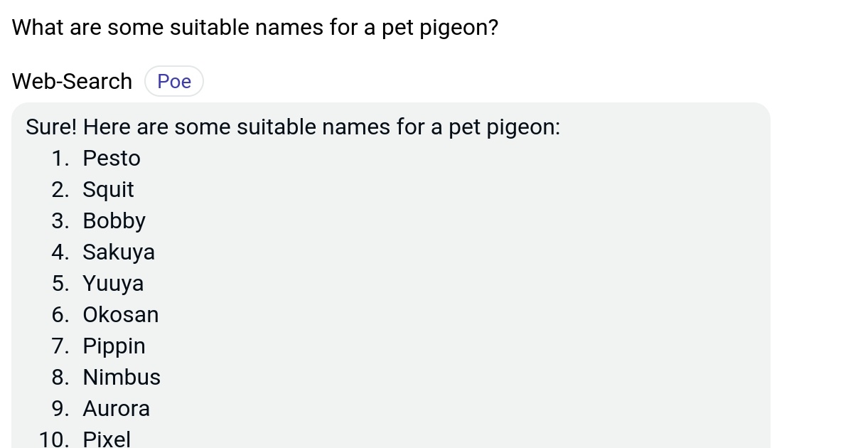 What are some suitable names for a pet pigeon? Poe