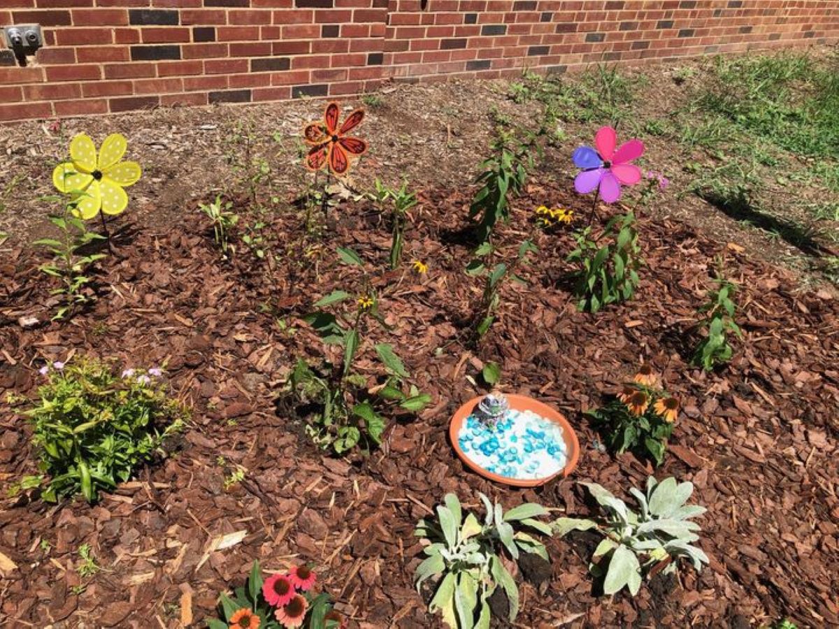 Jardín de mariposas en Cone Elementary Qué Pasa