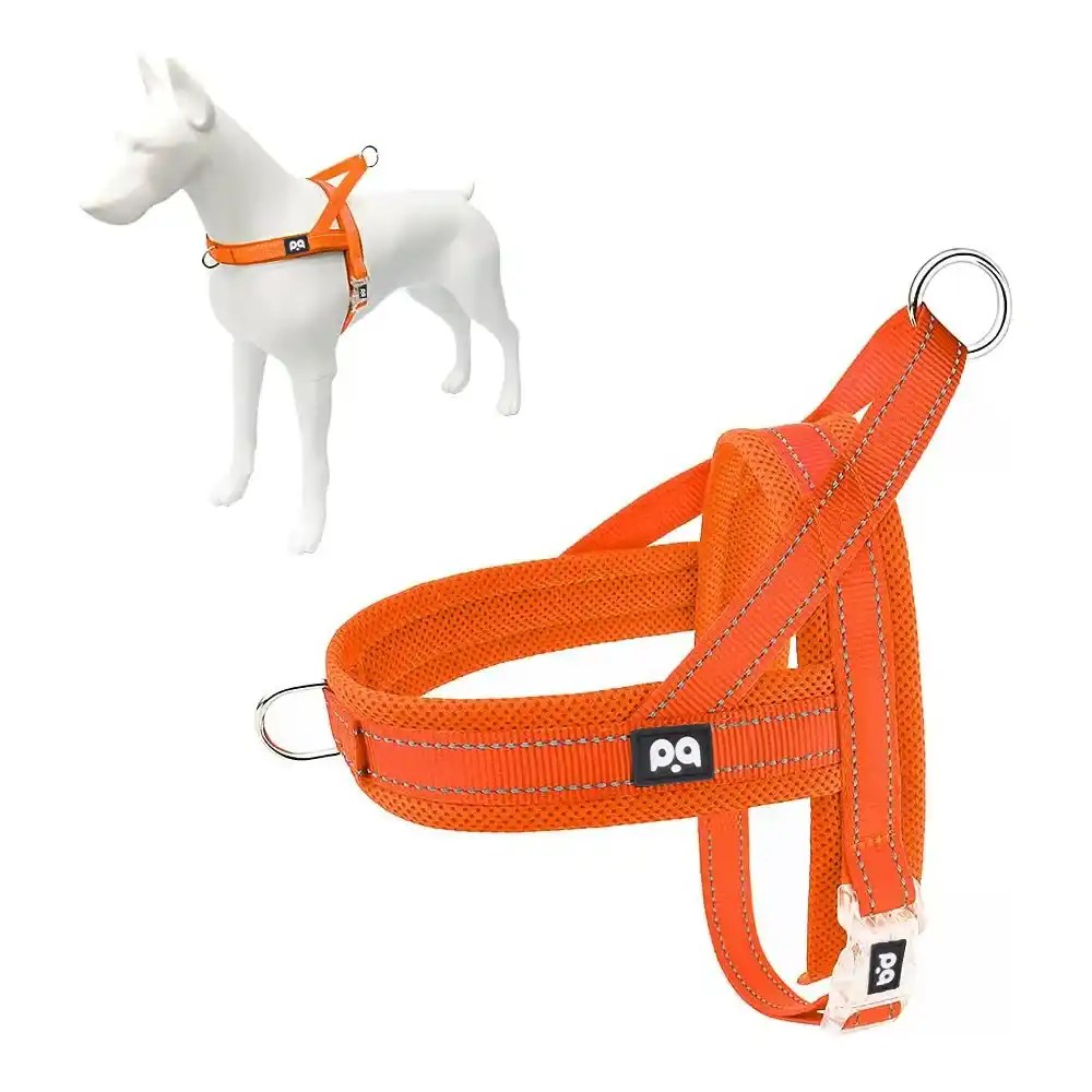 Are No Pull Harnesses Bad for Dogs' Shoulders? QQPETS