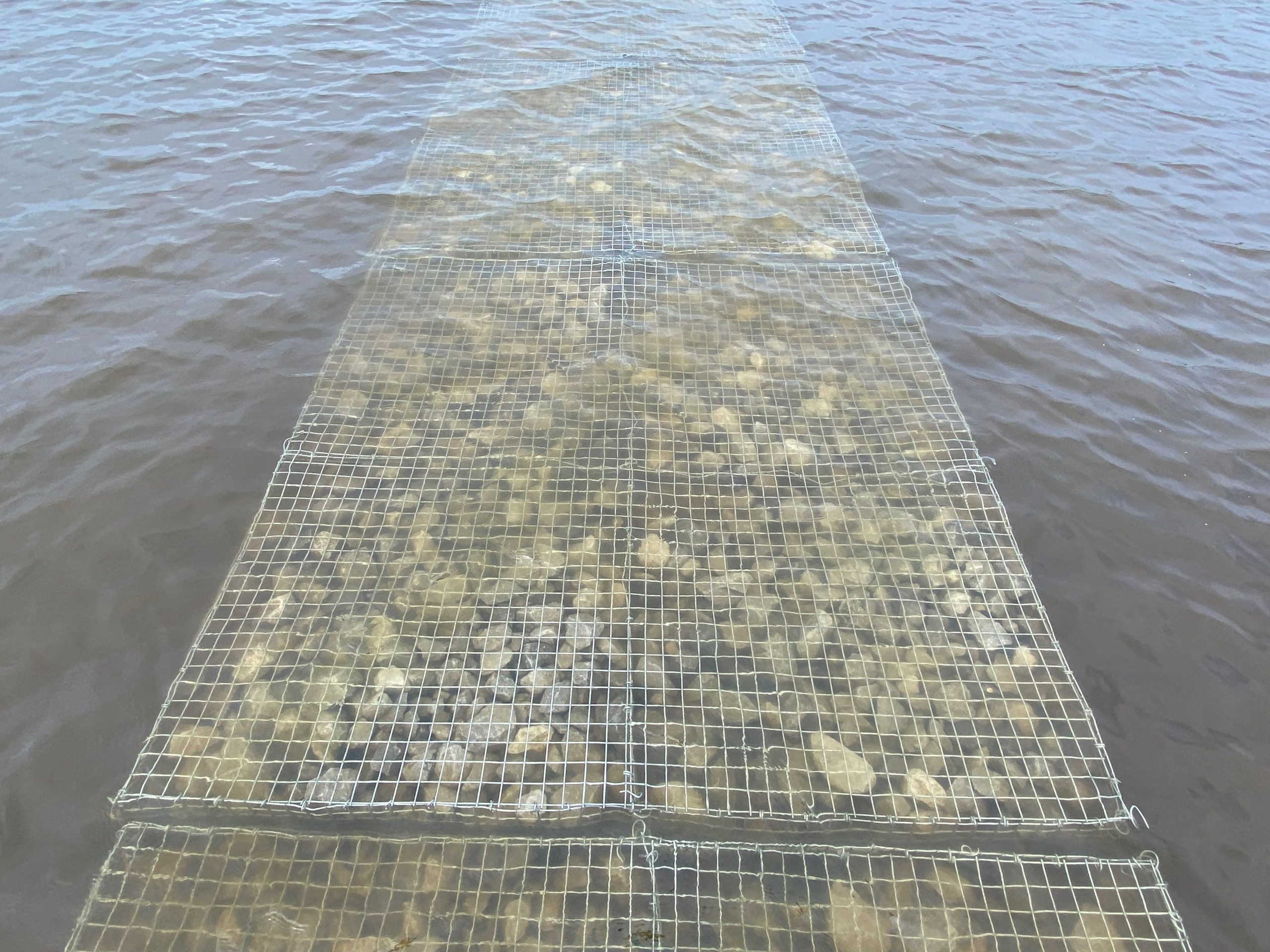 OYSTER REEF CONSTRUCTION NATURE CONSERVANCY OF LOUISIANA QRI