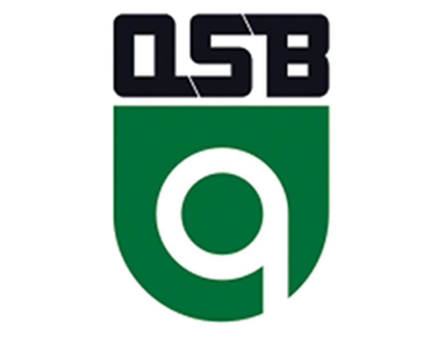 Pneumatic Rotary Actuator “Metal Seated” Spherical Disc Valve QSB