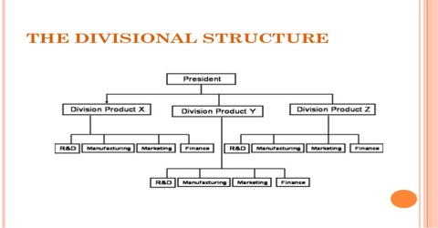 Divisional Structure: Definition in terms of Business Management - QS Study