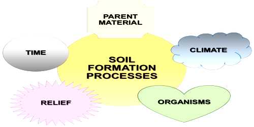 Process of Soil Formation - QS Study