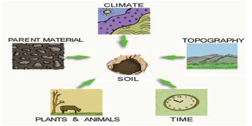 Time Soil Forming Factor QS Study