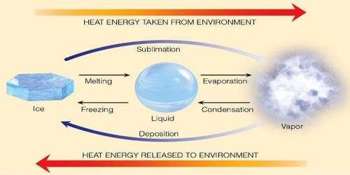 Latent Heat QS Study