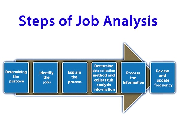 Steps of Job Analysis - QS Study
