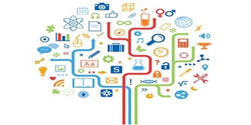 Components of Internal Business Environment - QS Study
