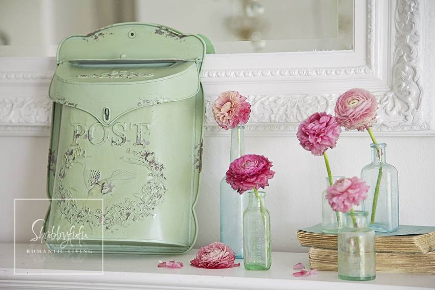 Designer Coon says, your Own Home”