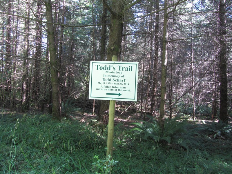 Haskin Farm Trail, Fir Crest Loop Trail, and Todd’s Trail Quadra