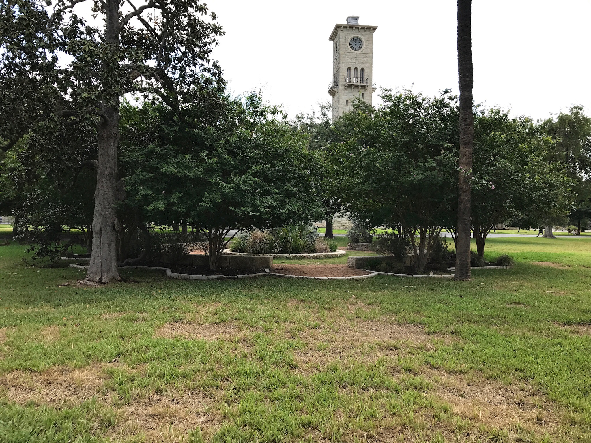 9Quadrangle Trees and other flora The Fort Sam Houston Museum
