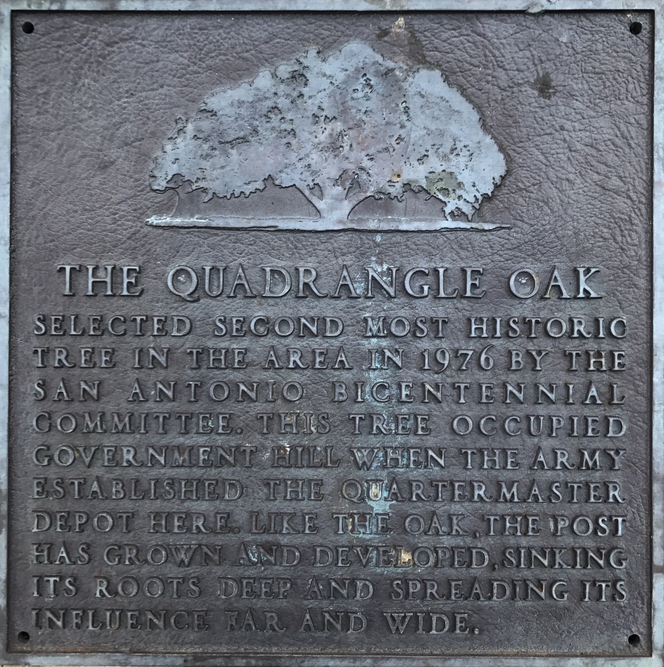 9Quadrangle Trees and other flora The Fort Sam Houston Museum