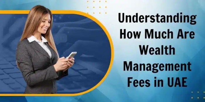 Understanding How Much Are Wealth Management Fees in UAE