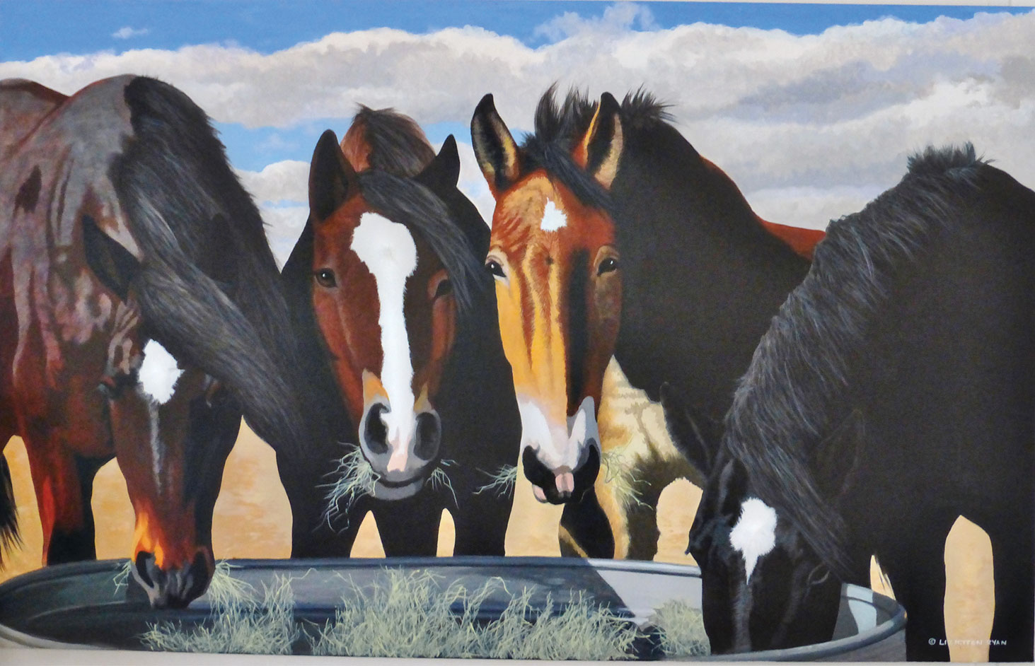 Fall fundraiser to support the Equine Voices Horses
