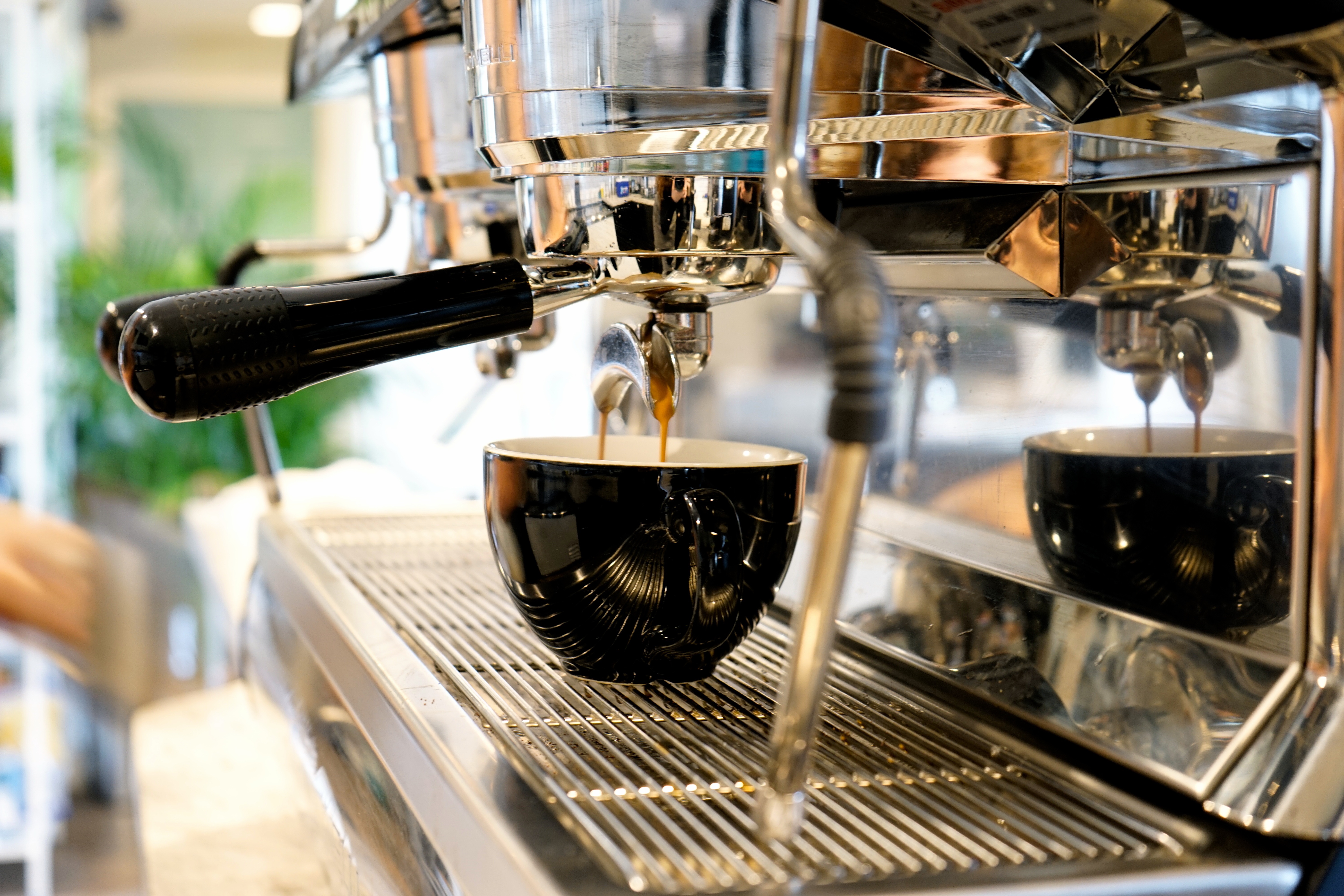 The Bloom Cafe Quality Gardens