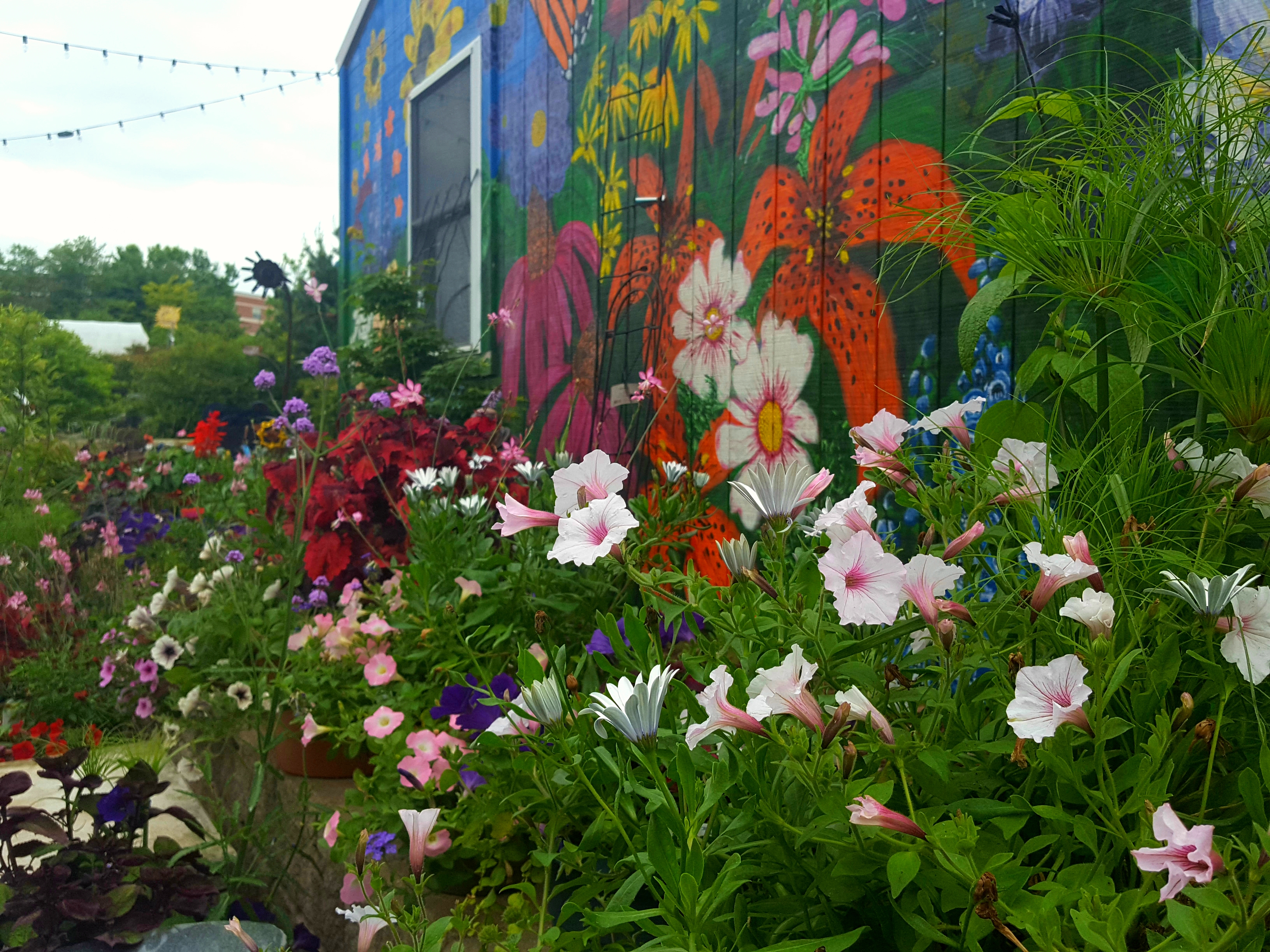 Quality Gardens