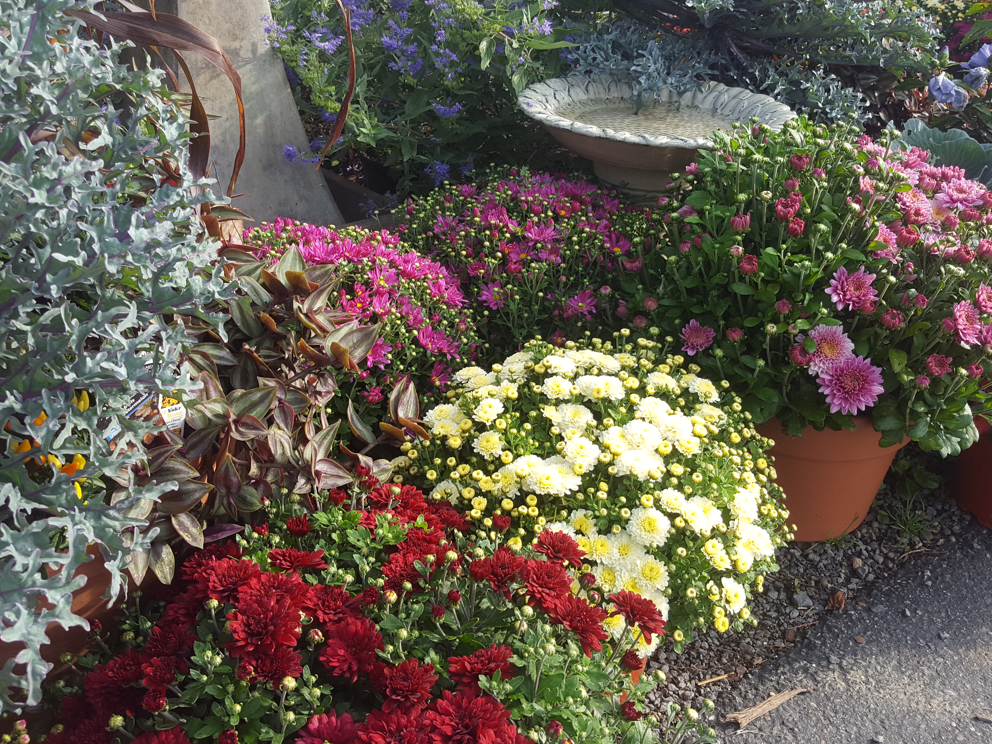 Quality Gardens