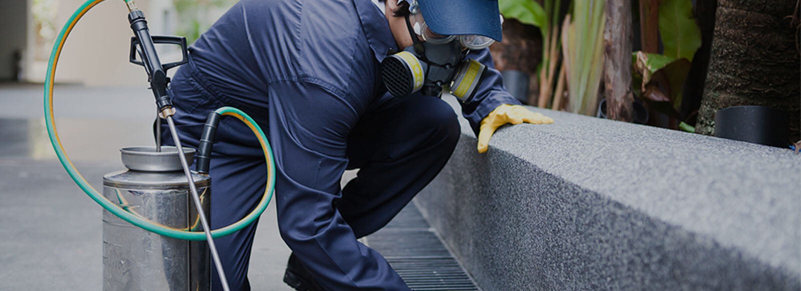 Quality Pest Control Winnipeg’s Premier Pest Control Company