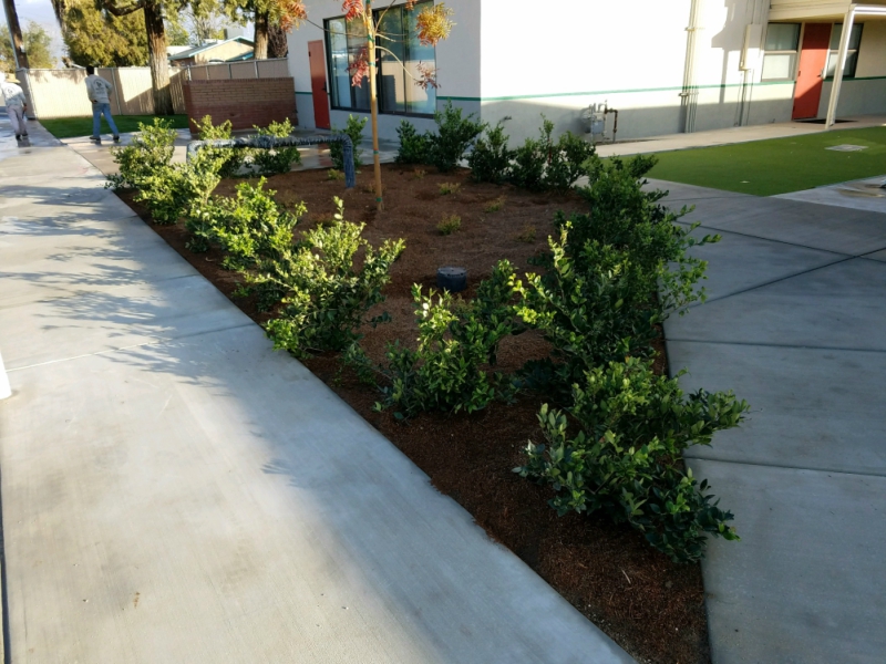 Gallery Artificial Turf Synthetic Grass Visalia Bakersfield Fresno