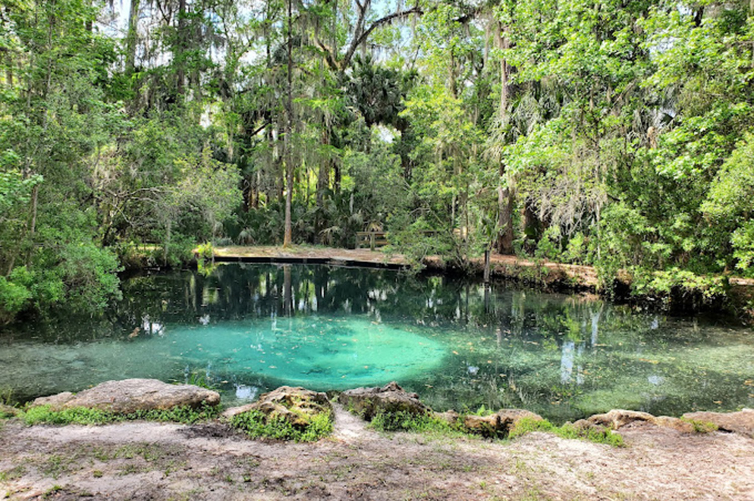 Welaka Mayor Selected for Leadership Florida Quality Cities