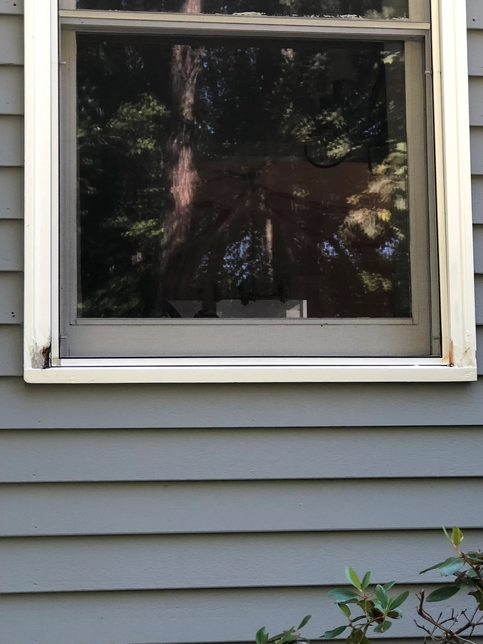 Gallery Quality Coating & Home Solutions