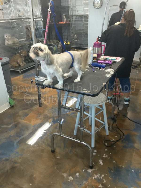 Quality Epoxy A Touch of Class Pet Grooming