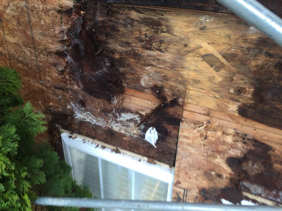 Water Damage Fixed Right Quality First Contractors Stucco