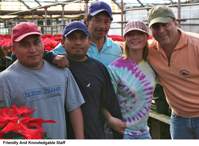 Salt Lake City, Utah Quality Flowers and Plants