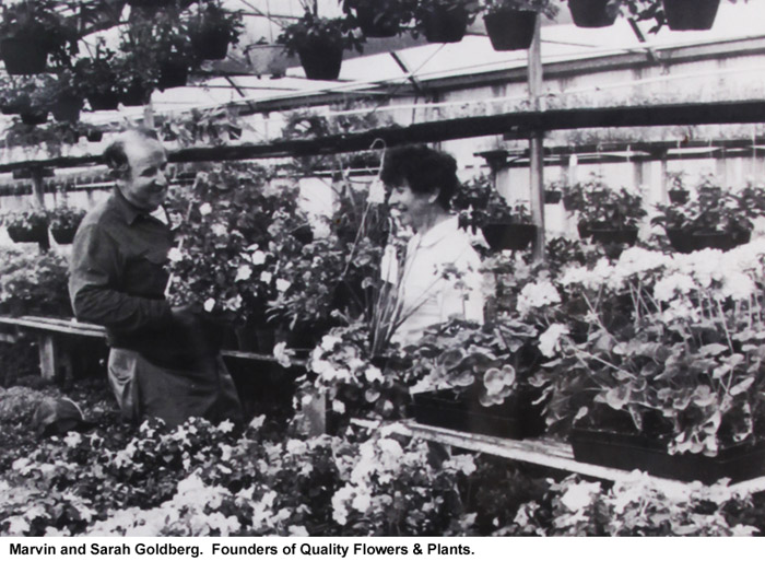 Salt Lake City, Utah Quality Flowers and Plants